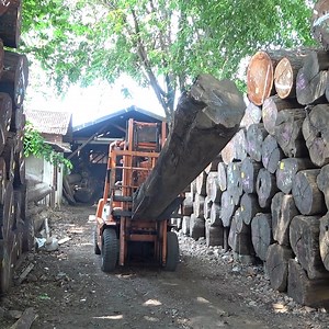 19K views · 156 reactions | move logs to the top of the stack | Sawmill & Woodworking | Facebook