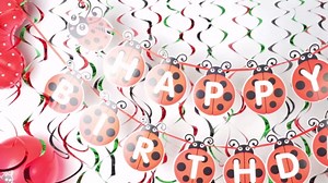 141 PCS Ladybug Fancy Birthday Party Supplies - Disposable Tableware Kit With Red and Black Polka Dot Plates, Cups, Napkins Sets - Serves 16 Guests