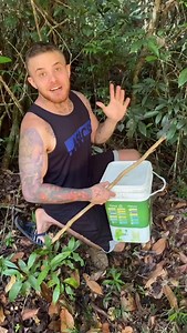 Soltura do casal de jararacas (Bothrops Leucurus) resgatadas no quintal sendo soltas em reserva ambiental! Só tenho a agradecer sempre primeiramente À Jesus Cristo por me proteger e guiar nesse trabalho! Tenho que agradecer também grandemente aos irmãos do @companhia.circo.da.lua por terem tido consciência ambiental e chamado para realocar os animais em local seguro sem ter feito mal a eles! Vocês são os verdadeiro heróis! Que O Senhor abençoe sempre! 🐍🇧🇷✝️ | Gabriel Núcleo