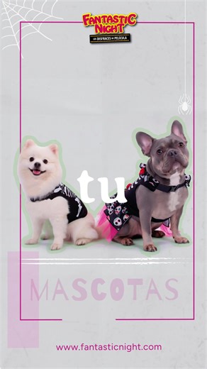 ¿Ya sabes de qué te vas a disfrazar este año? | Fantastic Night