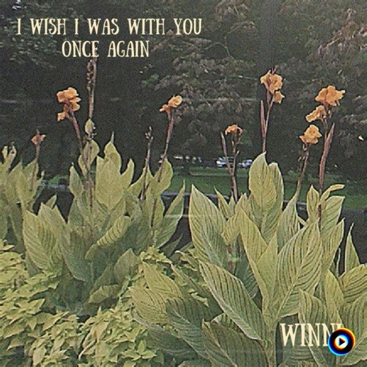 i wish i was with you once again | Winni Lyrics, Meaning & Videos