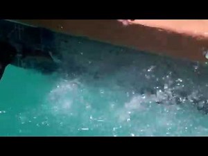 Clean Pool Tile Remove Scale And Calcium Buildup In Tucson 2