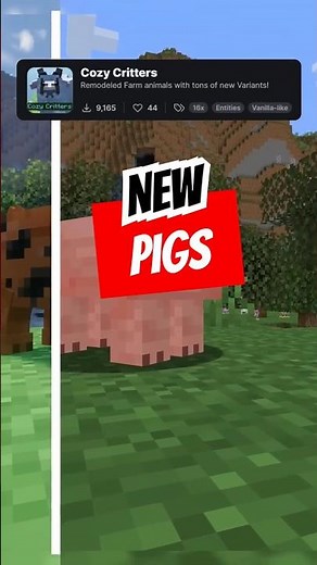 🐷 Better Pigs in Minecraft! | Resource Pack Evolution 🔥