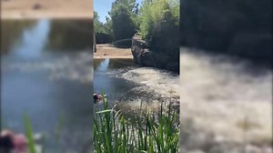 71K views · 2.6K reactions | (english below) Wider die Affenhitze...