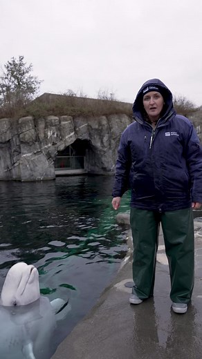 We work at an aquarium! What do you expect..? | Mystic Aquarium