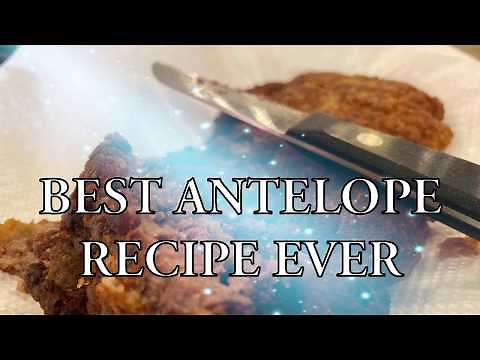 Antelope Recipe