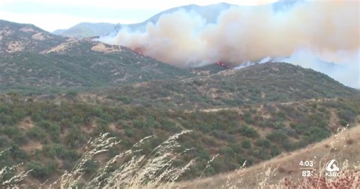 New company plans to use AI to help fire teams detect and respond to fires earlier