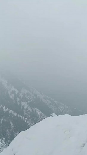 Stunning Snow-Covered Hillside Landscape