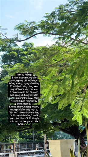 Cap trên vid #cap2 #hocsinh #viral #cogiaogenz