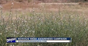 Be aware of noxious weeds as warmer weather approaches