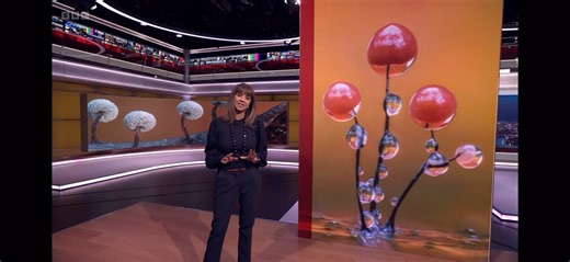 It was great to see Woodoaks farm friend Barry Webb featured on BBC London News last night talking about his award winning Slime Mould photography. What a gift to bring something so small (and by and large unnoticed) to the attention of millions of people, providing a window to a magical and unseen world. Well done Barry and thank you to journalist Victoria Cook who recognised the value in such a feature. We love to imagine people all over the country scouring their gardens with magnifying glass