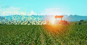 Supply Chain and Market Design Optimization | Food Supply Chain Analytics and Sensing Initiative | MIT Sloan