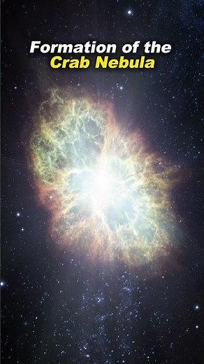 Formation of the Crab Nebula