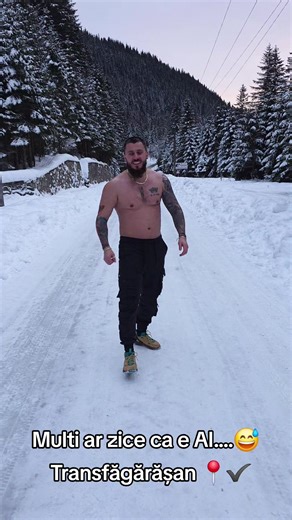 Florin Dublin 🌟🤗 (@florindublin)’s videos with sunet original - despreorice24