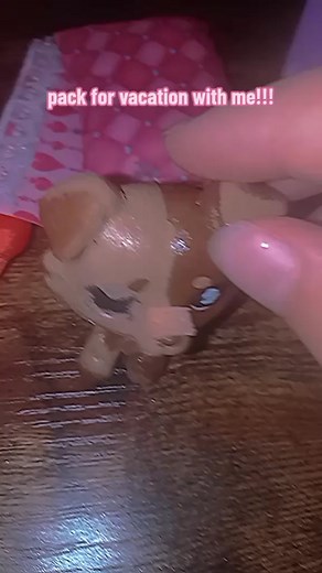 #lps #fyp #viral #pack vacation with me I am so excited I am going to Florida!!!!!