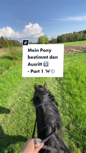 Mein Pony bestimmt den Ausritt - Part 1 🐎💨