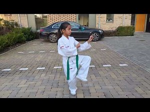 Won-Hyo Tul (Green Belt Pattern) | ITF | Mini-Taekwondo