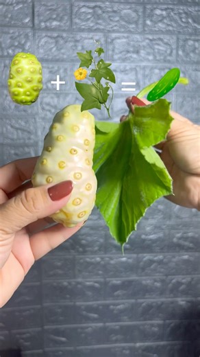 strange fruit comboy 🫑🌿🥒 would you try this? #shorts #viral #food #eating #mukbang