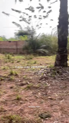 586K views · 10K reactions | Where to buy best cows, slaughter and also learn cow business at Owa alero Agbor delta state | Nguzor Henry | Facebook