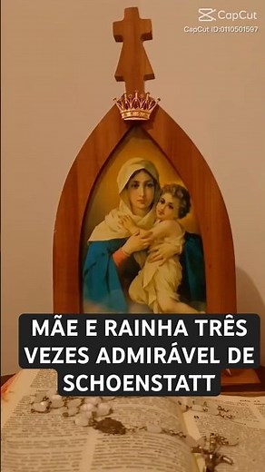 🌸 Crowned in heaven… exalted on earth 👑 #maria #schoenstatt #motherqueen #ourlady #catholic #faith