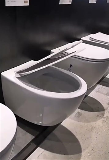 This Wall-Hung Toilet Might Be the Smartest Upgrade You Make | Flush & Clean Test