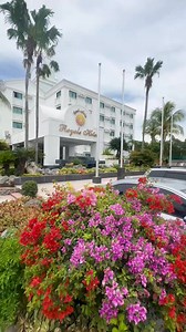 East Asia Royale Hotel Gensan … premiere hotel in general santos city . located at the heart of gensan near Starbucks Gensan Highway @kentucky fried chicken gensan highway Gaisano Mall Of Gensan Miles Bougainvillea Gensan #milesbougainvillea #generalsantoscitytourism #landscapingservices #garden #grafted #bougainvillealovers #bonsailovers #resort Rombar Bartolome Rombar Bartolome | Miles Bougainvillea Gensan