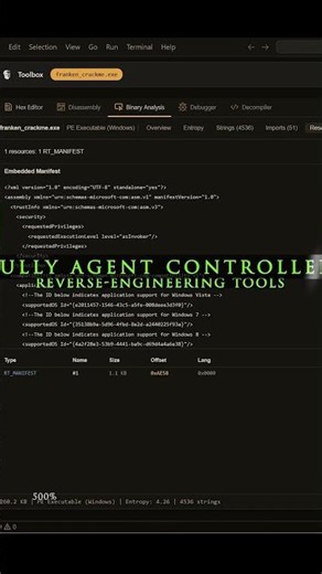 Local AI Cracking a Binary in 37 Seconds