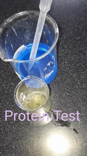 Protein and Starch Food Tests: Fun Experiments to Try