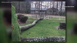 Who is responsible if a tree falls on someone’s property?