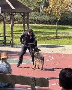 Anaheim Police Department on Reels