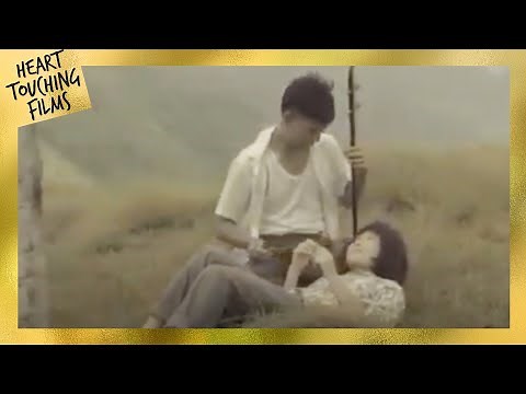 心温まる短い動画 😥😔😊感動的な動画