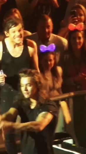 😅💚💙#fyp #foryoupage #onedirection #louistomlinson #liampayne #louistomlinsonsassy #lilo #lilowaterfight #harrystyles #larrystylinson #1dconcert ✨