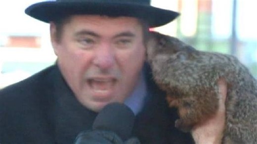 Groundhog Bites Wisconsin Mayor's Ear During Ceremony