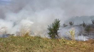 26K views · 245 reactions | UPDATE: The fire is out. Crews are still on the scene looking for any hot spots. McKinney firefighters are battling wildfires in a wooded area near Virginia and Hardin. This is an ongoing situation. Please avoid the area. | McKinney Fire Department | Facebook