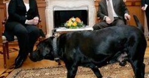Comment Poutine a effrayé Merkel avec un labrador
