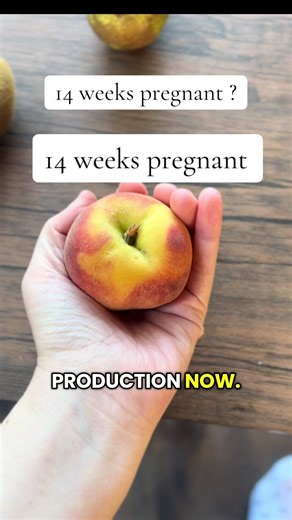 14 Weeks Pregnant: What to Expect and Feel