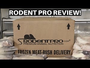 Rodent Pro Unboxing And Review + Ball Python Feeding - Benjamin's Exotics
