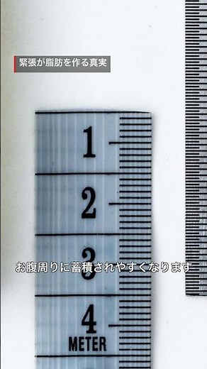 【動画タイトル】:ストレスで太るのはコルチゾールのせいだった😱内臓脂肪が増える仕組み