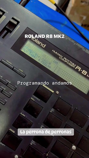 Roland R8 MK2 | Jesus Manuel Campos Lopez