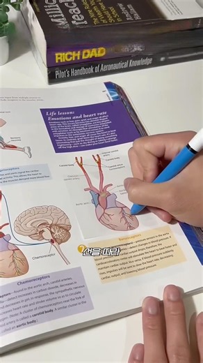 The Ultimate Sticky Notes for 200% Better Med School Study Efficiency