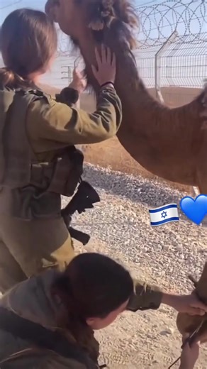 Why did the camel 🐫 cross the road? To get help from these IDF soldiers of course Support Israel 🇮🇱 Support Aliyah https://actintl.givingfuel.com/arc-campaign | Aliyah Return Center