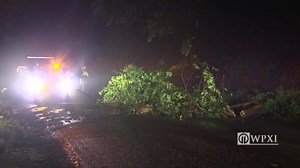 Strong storms moved through our area this morning, knocking this tree down and blocking a busy road. https://on.wpxi.com/2MagarW | WPXI-TV Pittsburgh