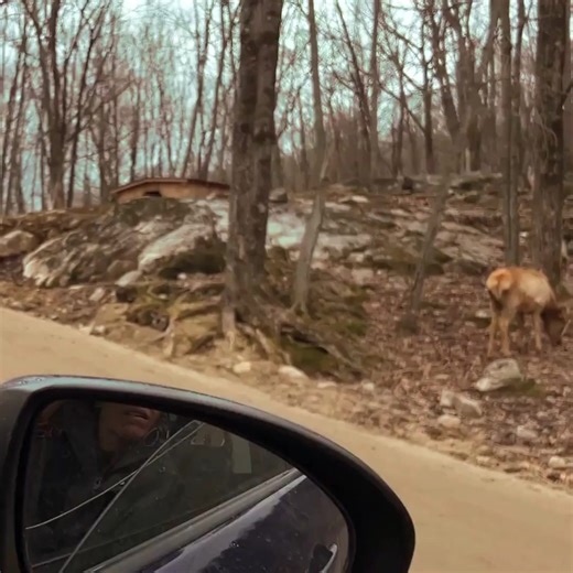 Exciting new experiences await on your next trip to Canada! Book now to save on the flight from London Gatwick, Manchester or Glasgow. | Air Transat