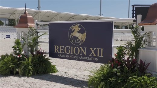 Region 12 Commercial