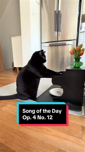 Understanding Tantrums in Young Children