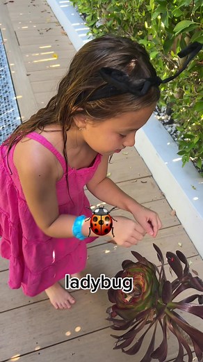 Little girl finds ladybug on plant and EATS it! 🐞 #fyp #youtubekids #kidsyoutubechannel #prankvideo