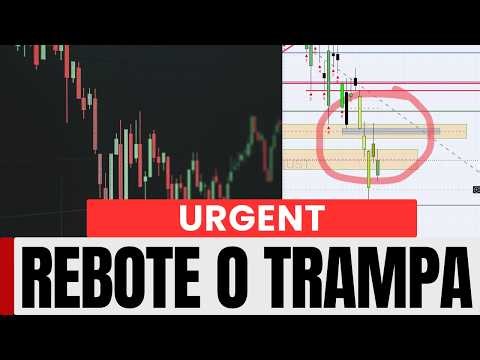 Why the Market is RALLYING while everyone is AFRAID (The Truth)