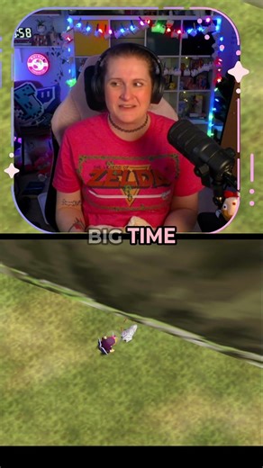 Never Attack The Chicken