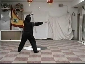 Fu Style BaGua Staff