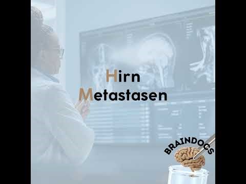 Hirn Metastasen